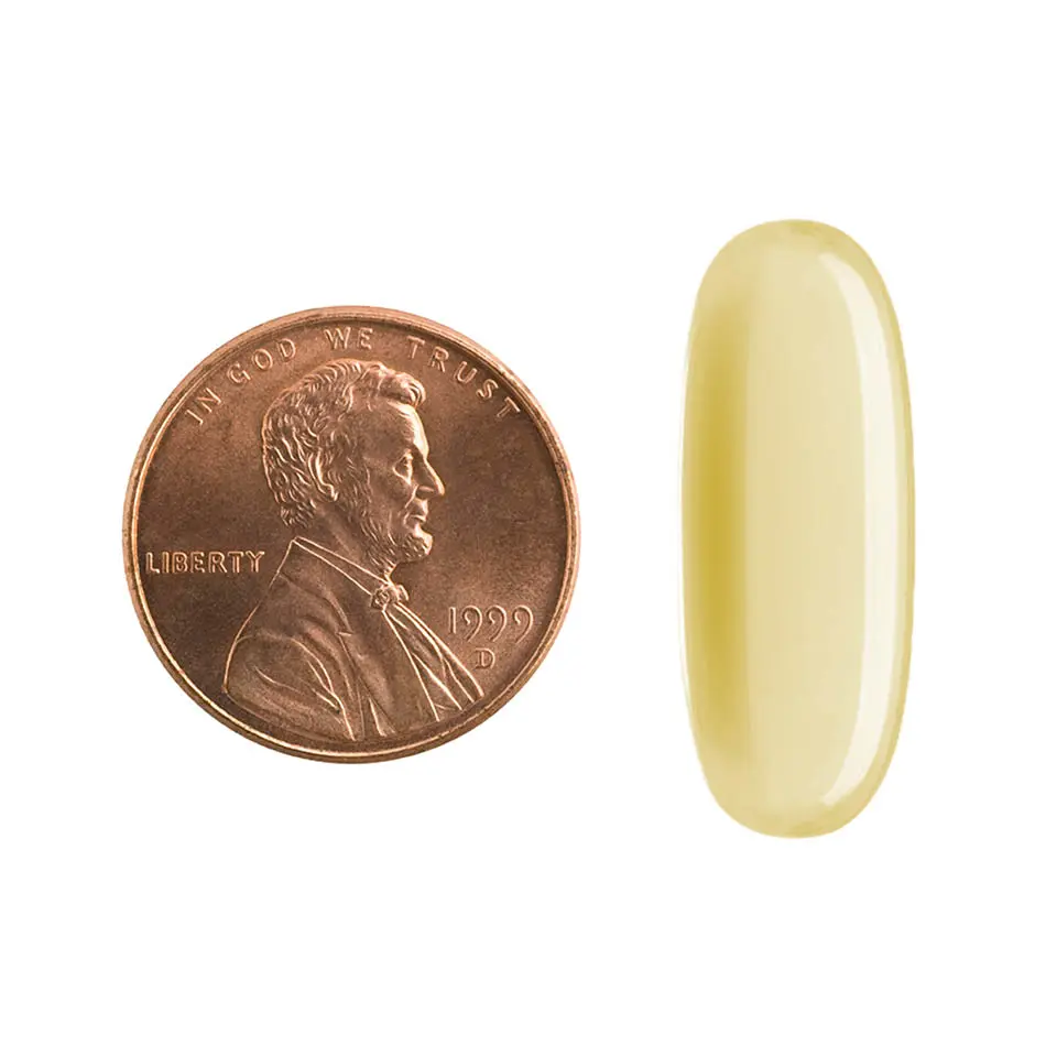 504-50PILL.webp