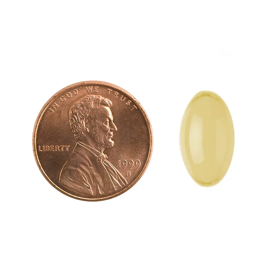 505-100PILL.webp
