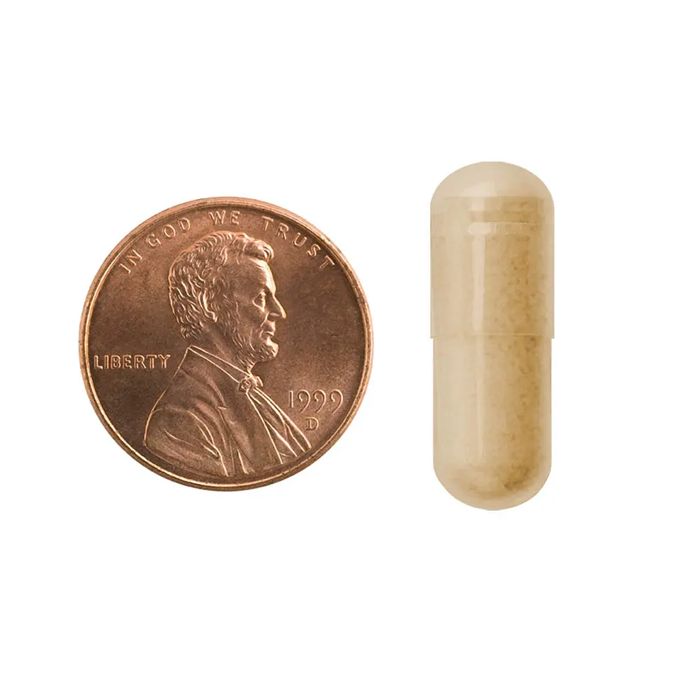 1254-60PILL.webp