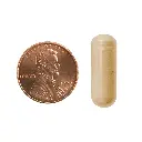 1254-60PILL.webp