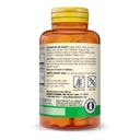 Vitamina B1 100mg